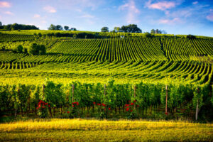 Alsace